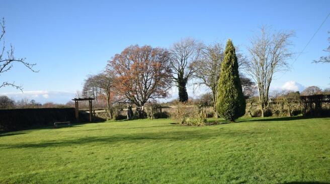 Rear garden