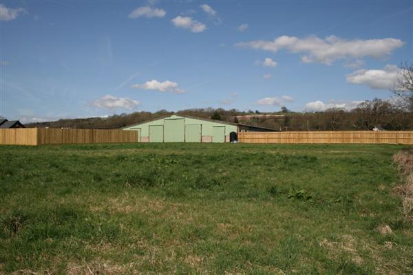 Photo 10