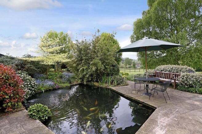 Koi Pond
