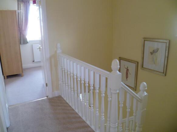 Image 19