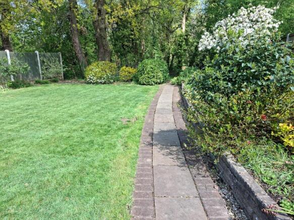 Back Garden 1 .jpg