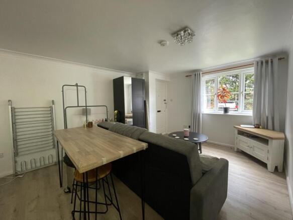 Kitchen/Living Room
