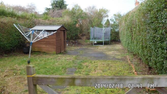 Garden at Back
