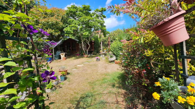 Photo 14
