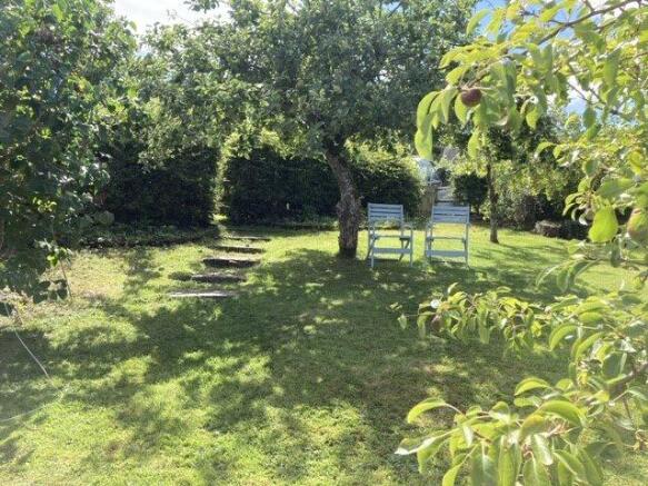 Orchard