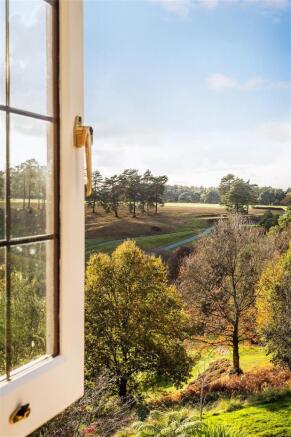 The-Pines-49 (cropped).jpg