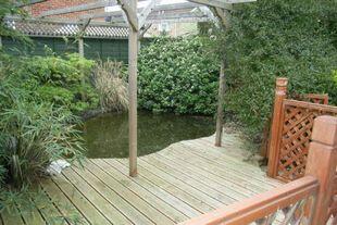 Shot Of Pond Area