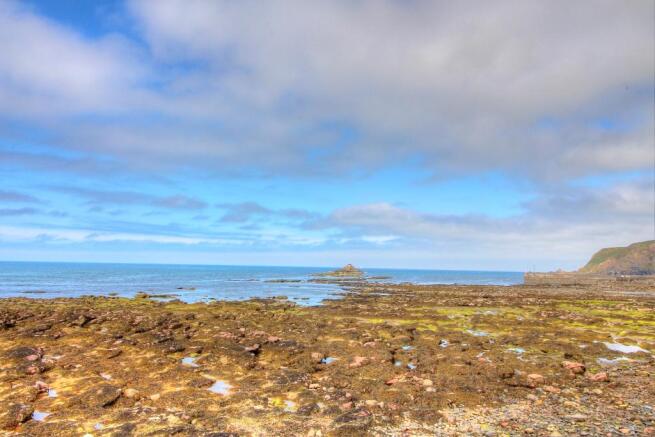 VIEW.JPG