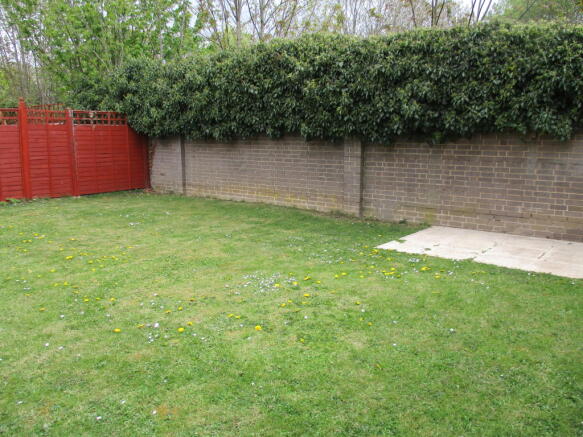 Photo 5