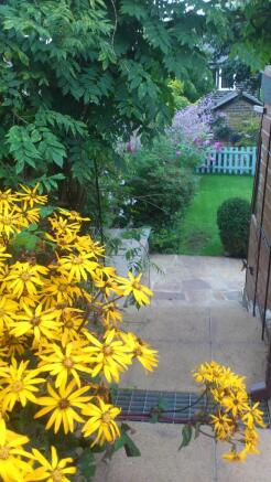 Photo 22