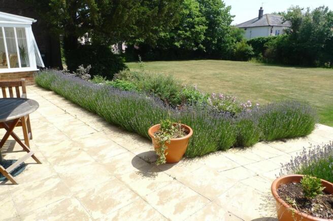 garden