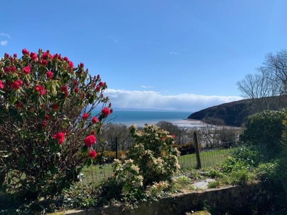 view