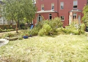 Communal Garden