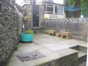 Picture 9