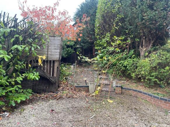 new garden picture 1