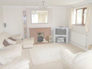 Lovely Living Room!