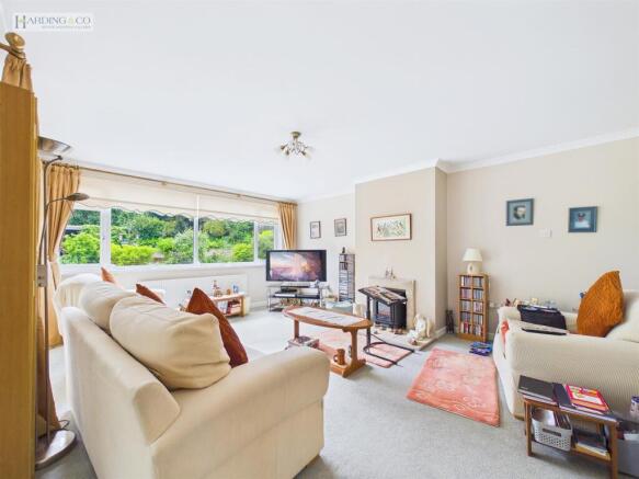 living room .1.jpg