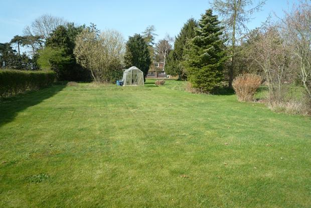 Towards Greenhouse
