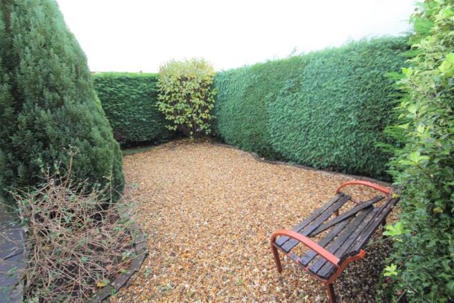 garden 3.jpg