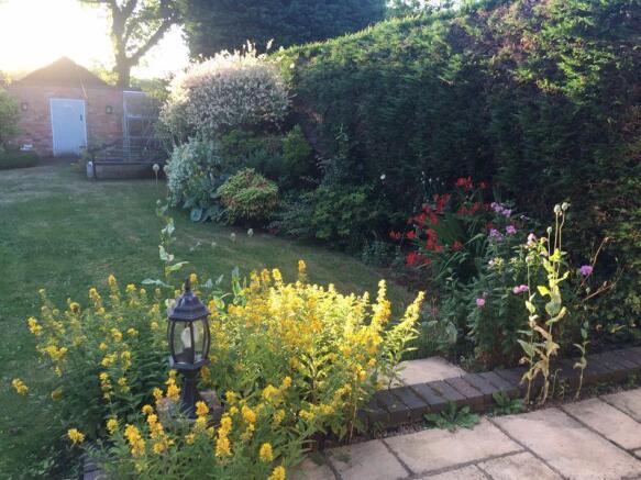 Photo 23
