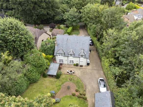 Rear Plot