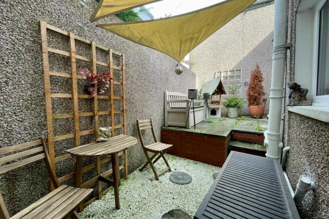 Back garden