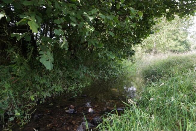 Nearby River