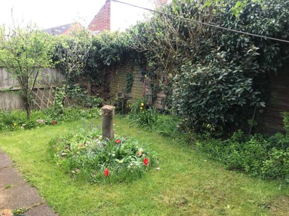Photo 11