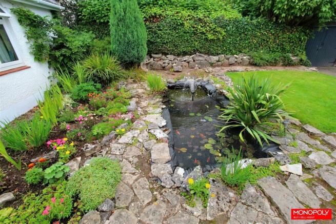 Front Garden.jpg