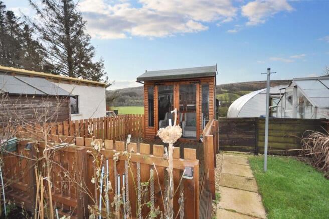 Back Garden