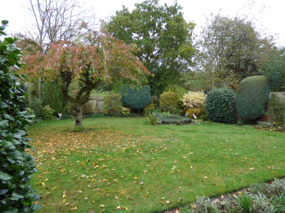 Photo 10