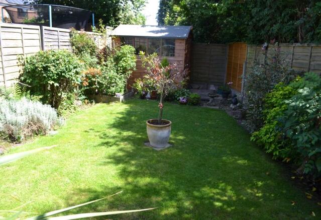 Photo 15