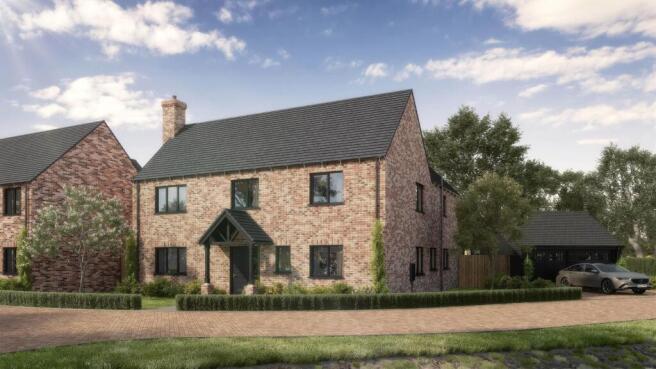 Scene-6 New Road-Plot-02_00000.jpg