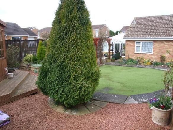 Rear garden