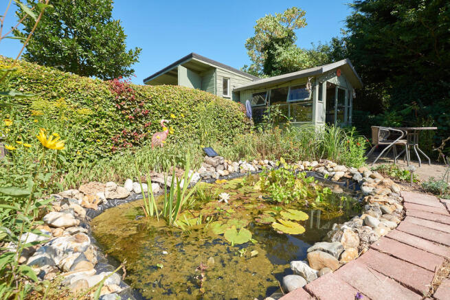 pond 