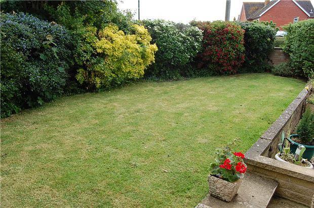 Side Garden