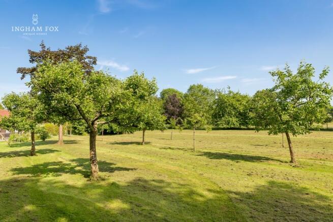 Fruit Orchard