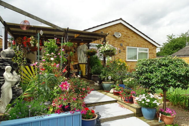 Photo 10