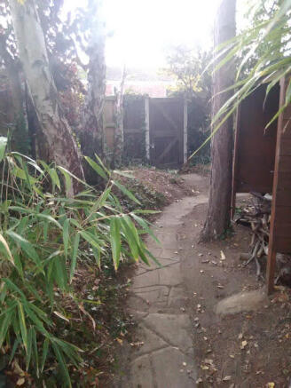 Photo 22