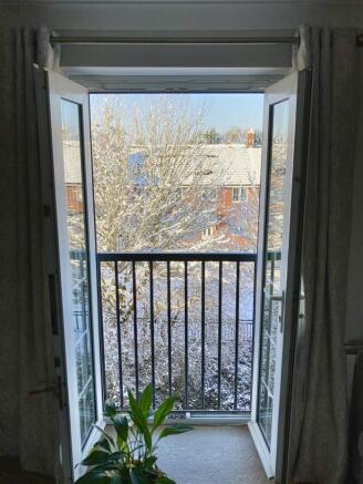 IMG_1668.jpg