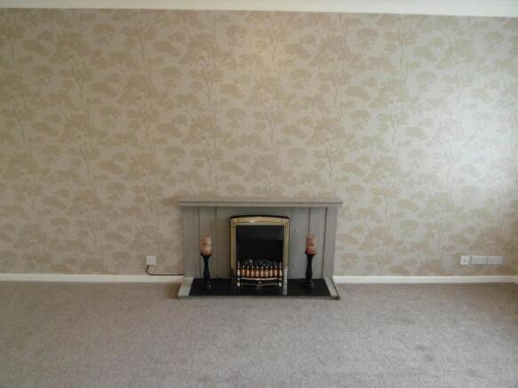 Feature Fireplace