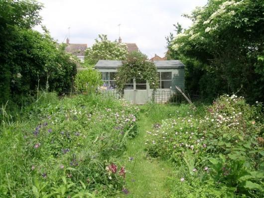 Rear Cottage Garden