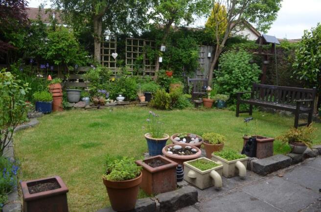 Photo 12