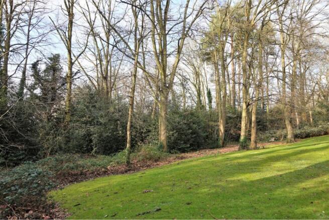 Site Rear