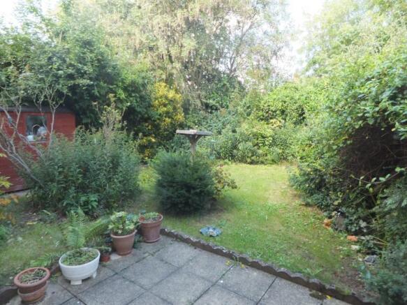 Photo 11