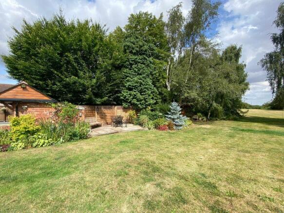 Garden at Back