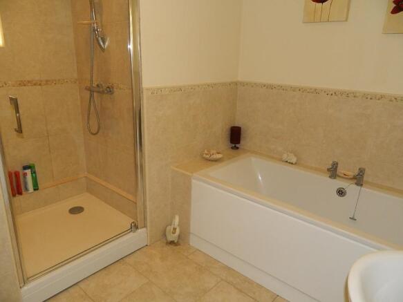 Bathroom view 2