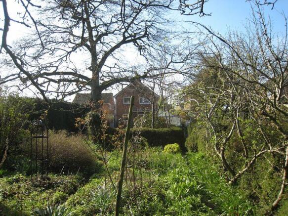 Garden6