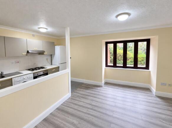 Lounge / Kitchen