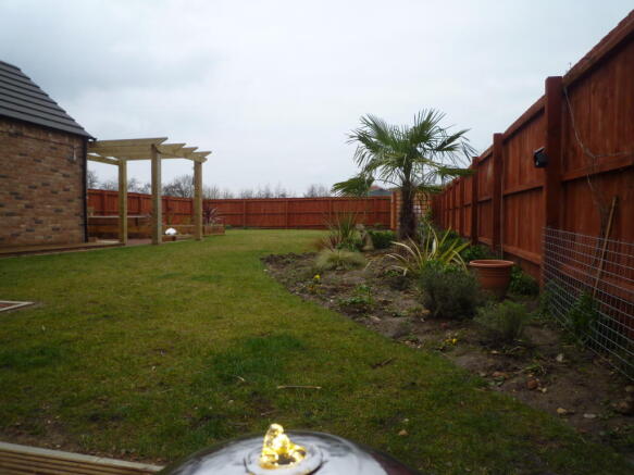 Photo 23